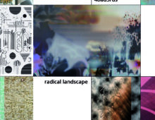4bad3rds  “Radical Landscape”